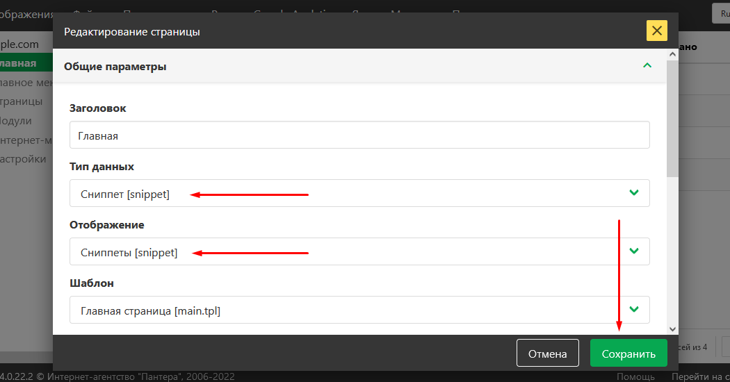 Страница "Сниппет"